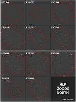 HLF GOODS-N Photometric Catalog