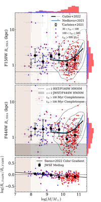 JWST F444W morphological postage stamps of low-mass and massive quiescent galaxies from the PRIMER and UNCOVER surveys, illustrating the disky vs. spheroidal dichotomy.