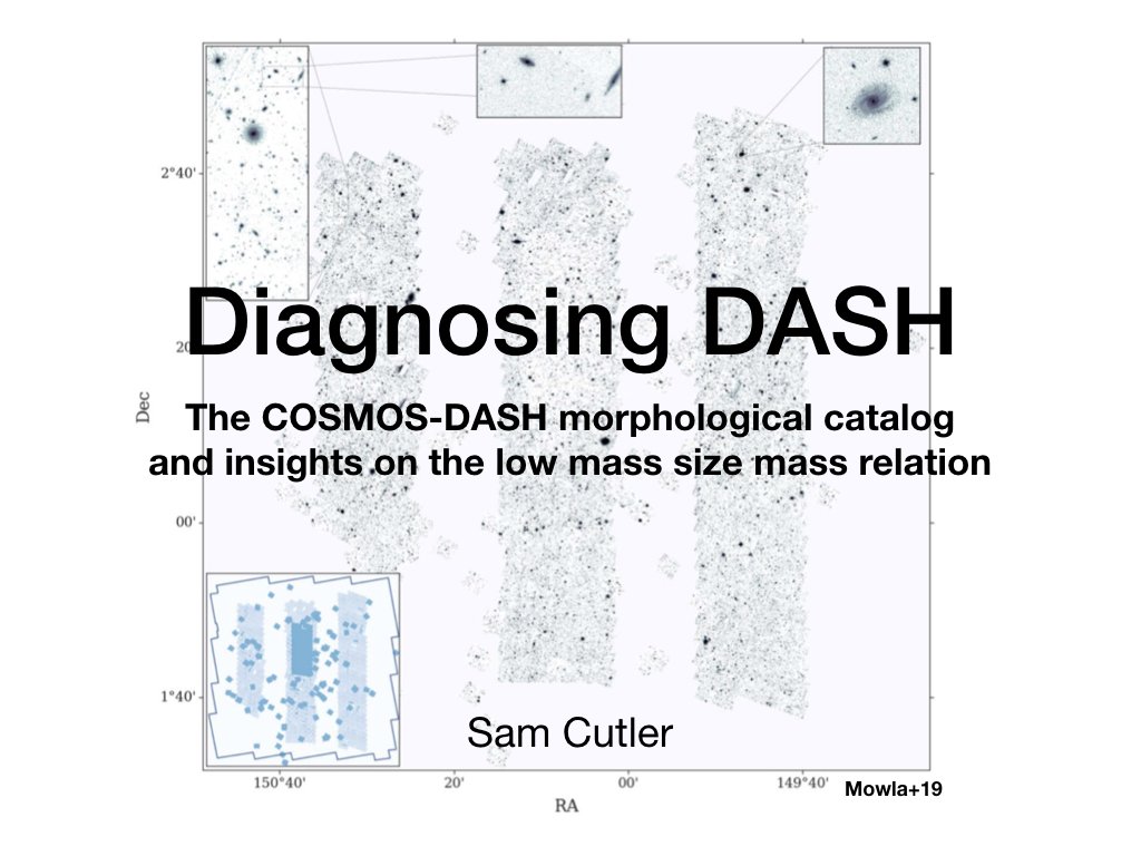 Diagnosing DASH A Morphological Catalog for the COSMOSDASH Survey